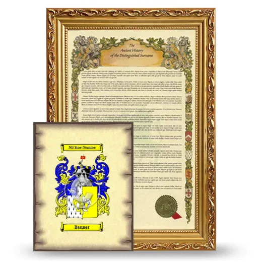 Banner Framed History and Coat of Arms Print - Gold