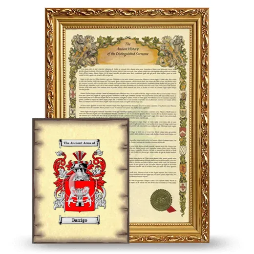 Barrigo Framed History and Coat of Arms Print - Gold
