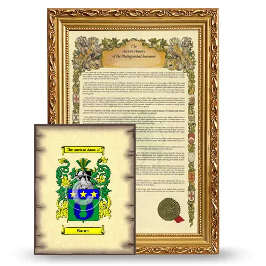 Bauer Framed History and Coat of Arms Print - Gold