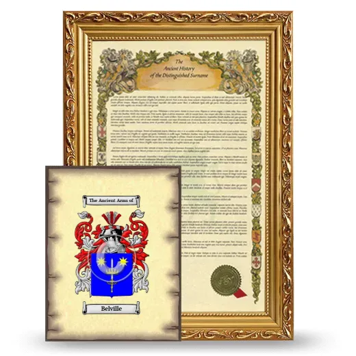 Belville Framed History and Coat of Arms Print - Gold