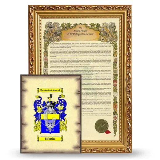 Biforthe Framed History and Coat of Arms Print - Gold