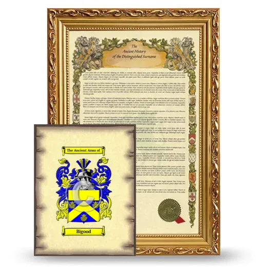 Bigood Framed History and Coat of Arms Print - Gold
