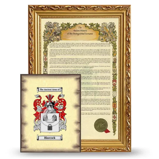Blaecock Framed History and Coat of Arms Print - Gold