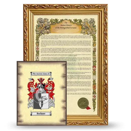 Bochner Framed History and Coat of Arms Print - Gold
