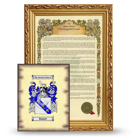 Bonnet Framed History and Coat of Arms Print - Gold