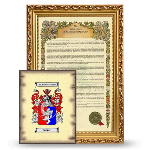 Bonnici Framed History and Coat of Arms Print - Gold