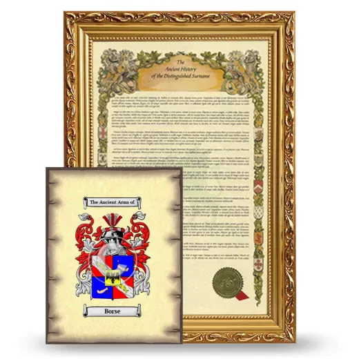 Borse Framed History and Coat of Arms Print - Gold
