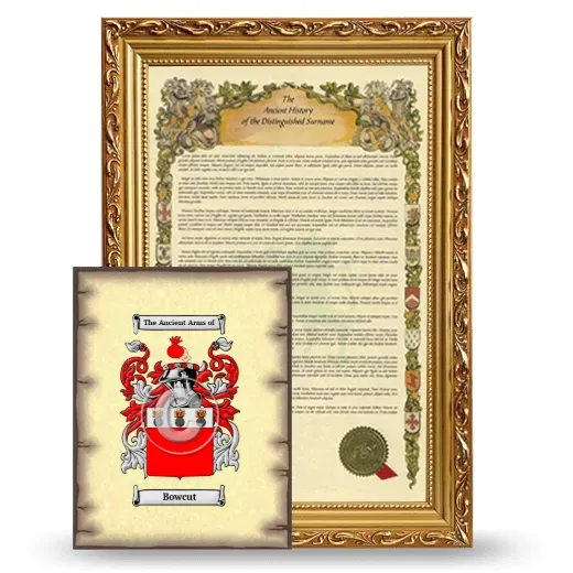 Bowcut Framed History and Coat of Arms Print - Gold