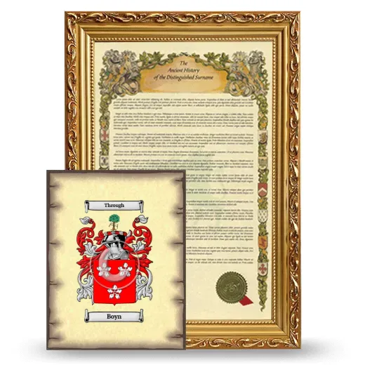 Boyn Framed History and Coat of Arms Print - Gold