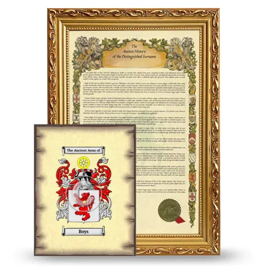 Boys Framed History and Coat of Arms Print - Gold