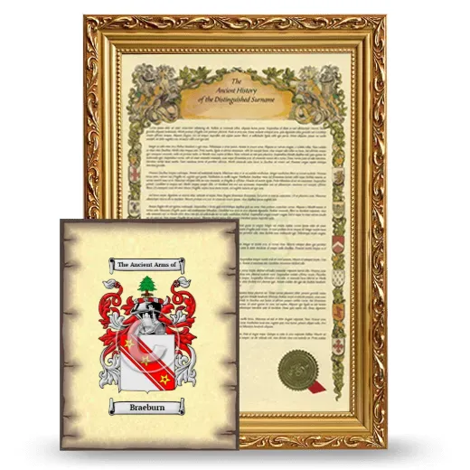 Braeburn Framed History and Coat of Arms Print - Gold