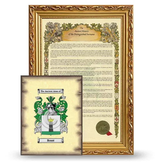 Brant Framed History and Coat of Arms Print - Gold