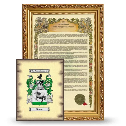 Braun Framed History and Coat of Arms Print - Gold