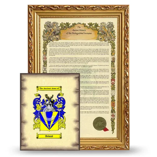 Briant Framed History and Coat of Arms Print - Gold