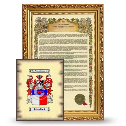 Briccaliani Framed History and Coat of Arms Print - Gold