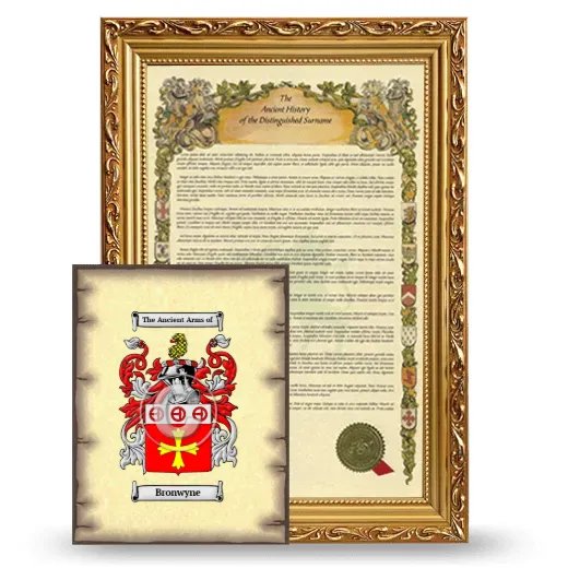 Bronwyne Framed History and Coat of Arms Print - Gold