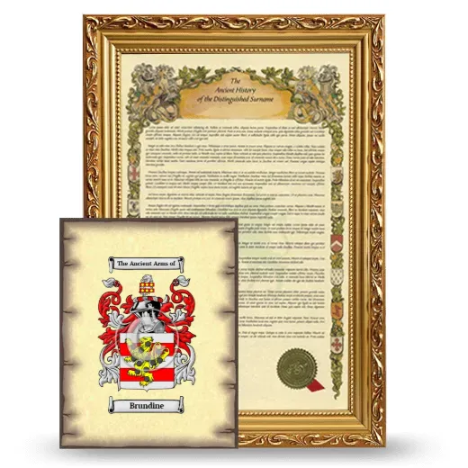 Brundine Framed History and Coat of Arms Print - Gold