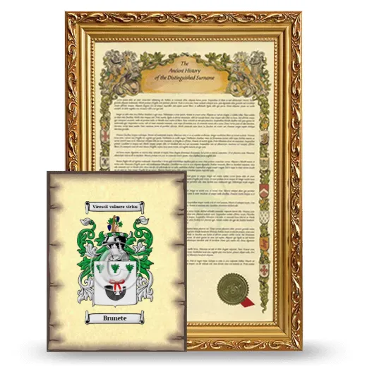 Brunete Framed History and Coat of Arms Print - Gold