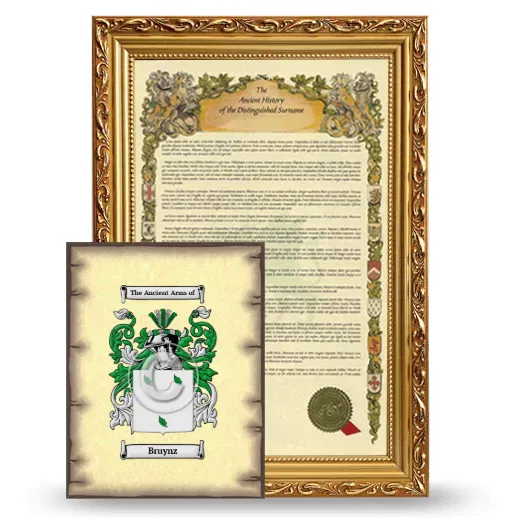 Bruynz Framed History and Coat of Arms Print - Gold