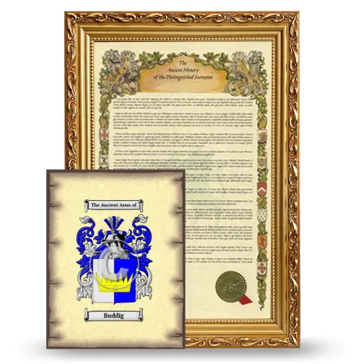 Buddig Framed History and Coat of Arms Print - Gold