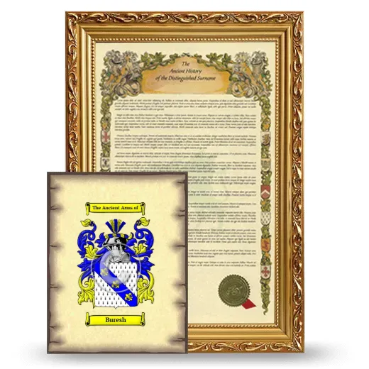 Buresh Framed History and Coat of Arms Print - Gold