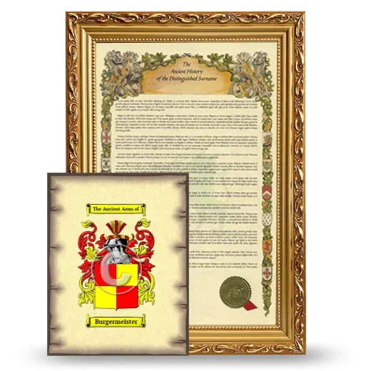 Burgermeister Framed History and Coat of Arms Print - Gold