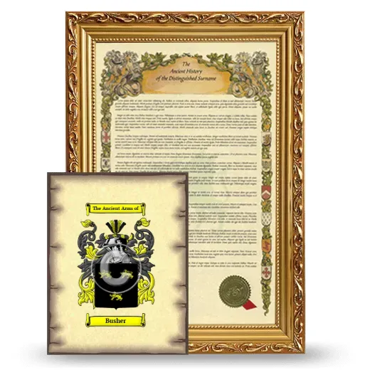 Busher Framed History and Coat of Arms Print - Gold