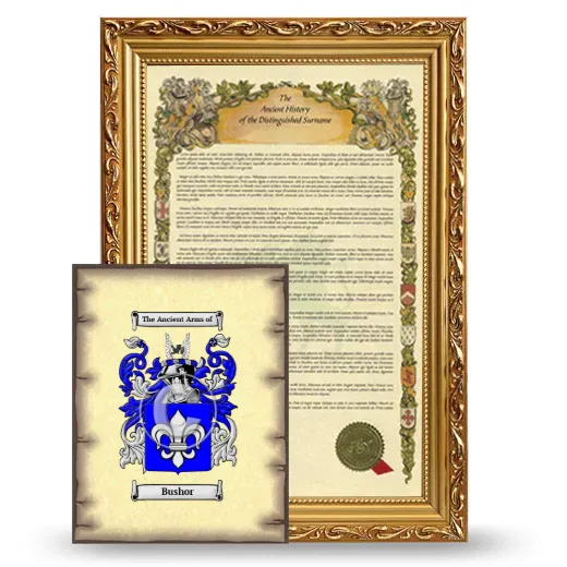 Bushor Framed History and Coat of Arms Print - Gold