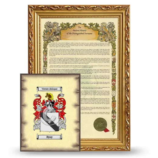 Byny Framed History and Coat of Arms Print - Gold