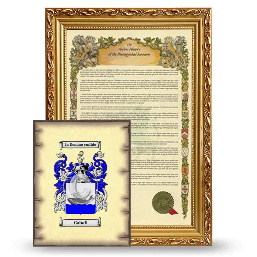Cahall Framed History and Coat of Arms Print - Gold