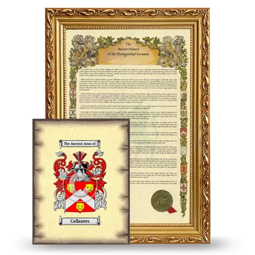 Callantes Framed History and Coat of Arms Print - Gold