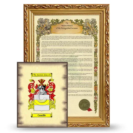 Camille Framed History and Coat of Arms Print - Gold