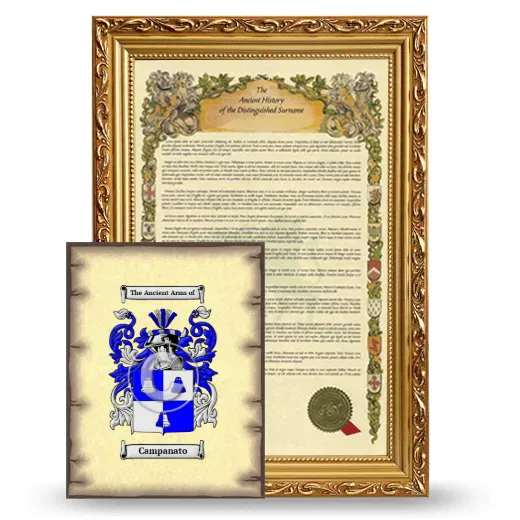Campanato Framed History and Coat of Arms Print - Gold