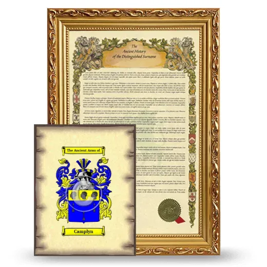 Camplyn Framed History and Coat of Arms Print - Gold