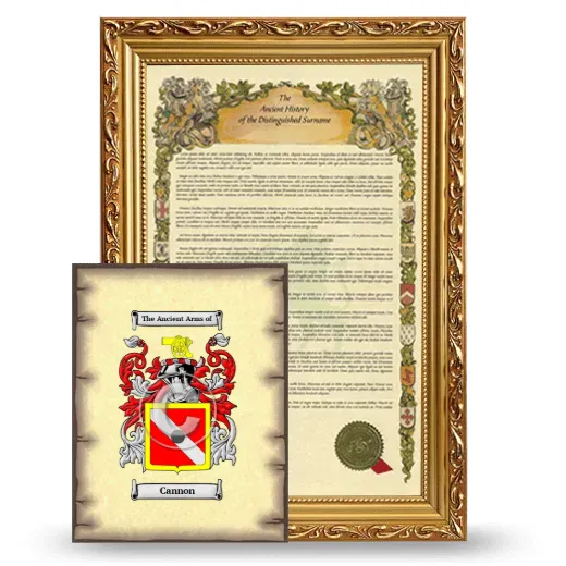 Cannon Framed History and Coat of Arms Print - Gold