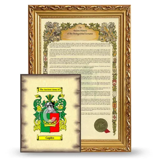 Capito Framed History and Coat of Arms Print - Gold