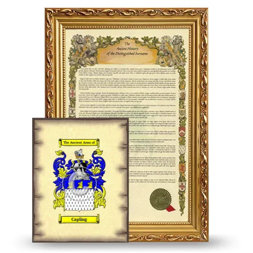 Capling Framed History and Coat of Arms Print - Gold