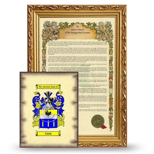 Cario Framed History and Coat of Arms Print - Gold