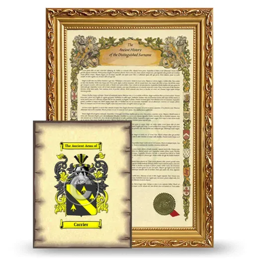 Carrier Framed History and Coat of Arms Print - Gold