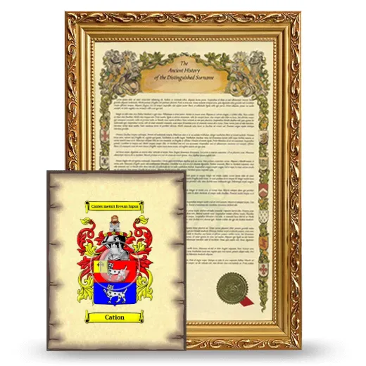 Cation Framed History and Coat of Arms Print - Gold