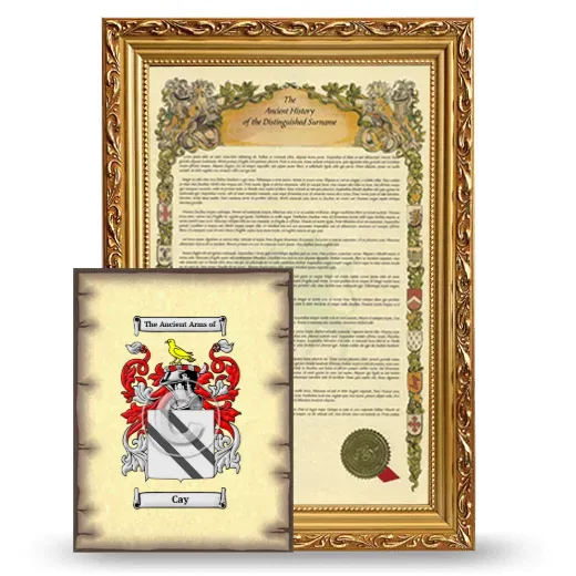 Cay Framed History and Coat of Arms Print - Gold