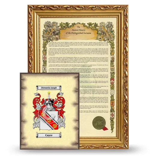 Cayce Framed History and Coat of Arms Print - Gold