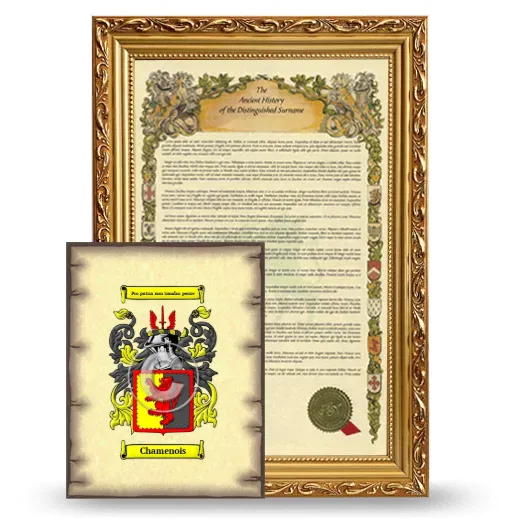 Chamenois Framed History and Coat of Arms Print - Gold