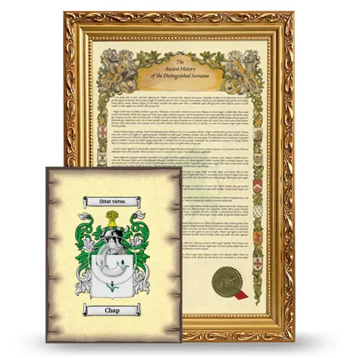 Chap Framed History and Coat of Arms Print - Gold