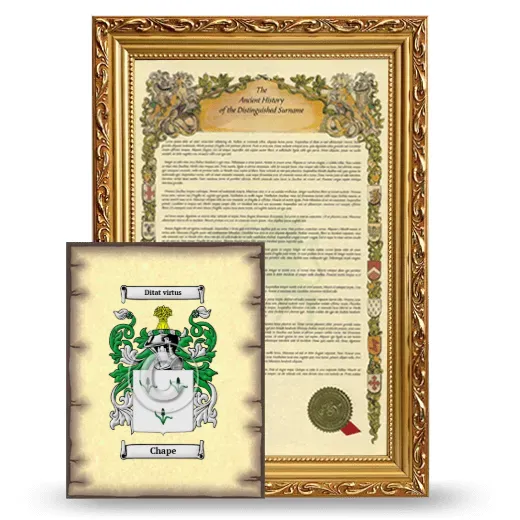 Chape Framed History and Coat of Arms Print - Gold