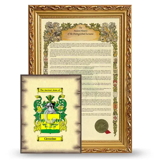 Ciccarino Framed History and Coat of Arms Print - Gold
