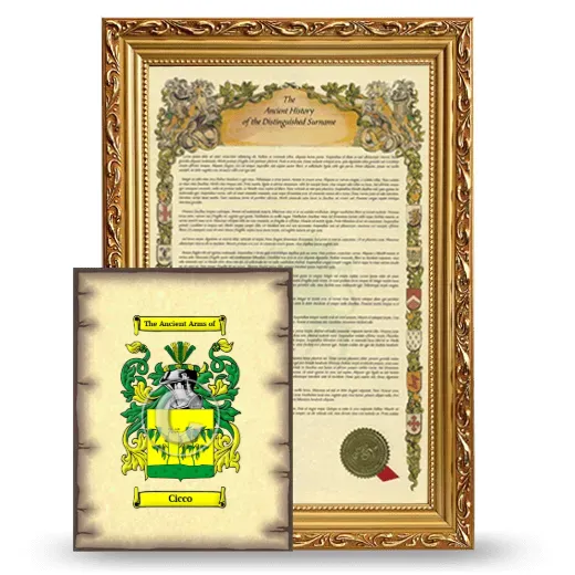 Cicco Framed History and Coat of Arms Print - Gold