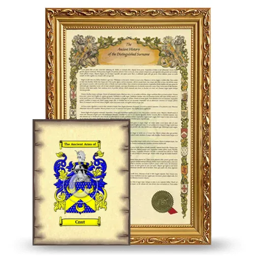 Cnut Framed History and Coat of Arms Print - Gold