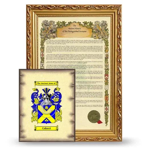 Colucci Framed History and Coat of Arms Print - Gold