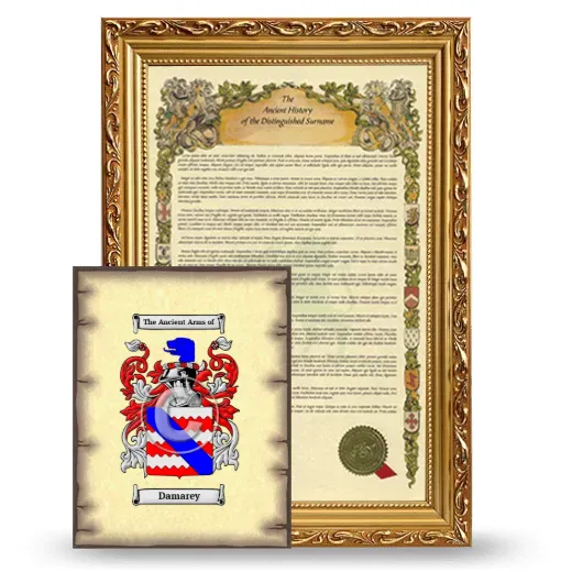 Damarey Framed History and Coat of Arms Print - Gold
